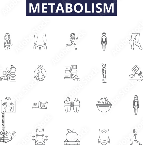 Metabolism line vector icons and signs. Substrate, Respiration, Enzymes, Anabolism, Catabolism, ATP, NADH, Photosynthesis outline vector illustration set