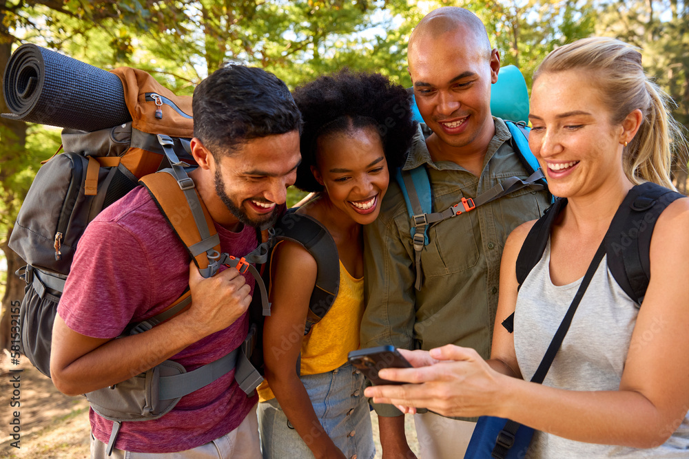 Fototapeta premium Group Of Friends With Backpacks Looking At Mobile Phone On Vacation Hiking In Countryside