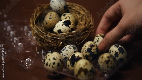 A woman's hand transfers quail eggs from a small nest into a plastic package. Homemade eggs, accessories and food. Eco quail eggs on brown color, farm and quality products