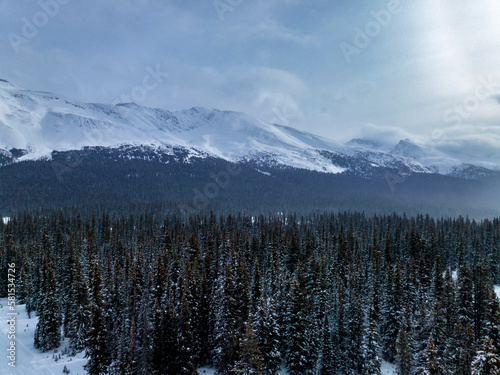 aerial view of frozen spruce pine forest with mountains on background in banff national park