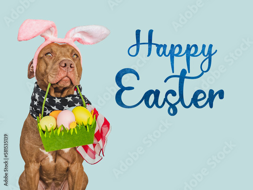 Happy Easter. Lovable, pretty puppy and a basket of Easter eggs. Close-up, studio shot, indoor. Day light. Congratulations for family, loved ones, relatives, friends and colleagues. Pet care concept