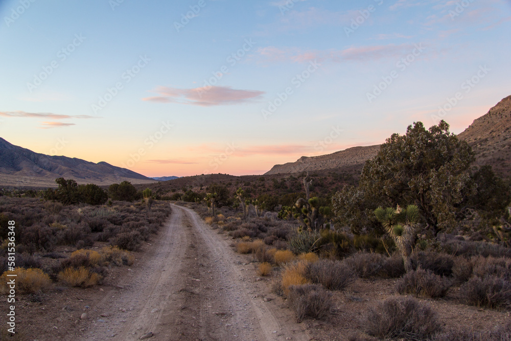 Views in the Mojave Desert at sunset