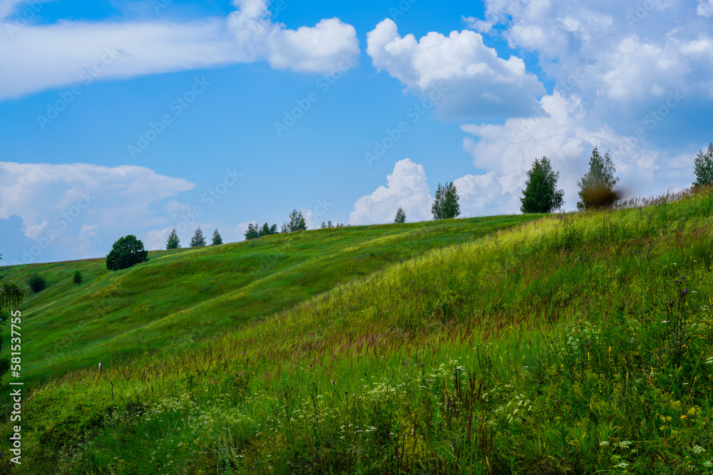 Summer sunny green hills under a blue sky.