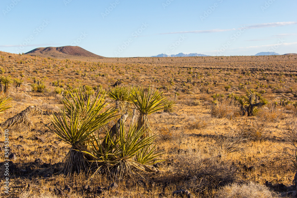 Area of volcanic activity in the Mojave Desert of California