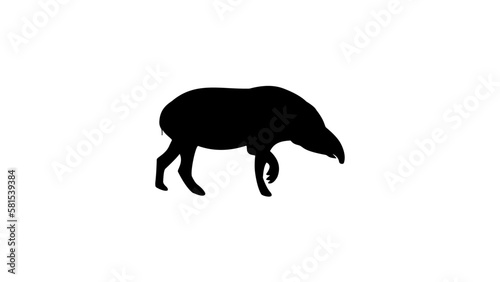 Tapir silhouette