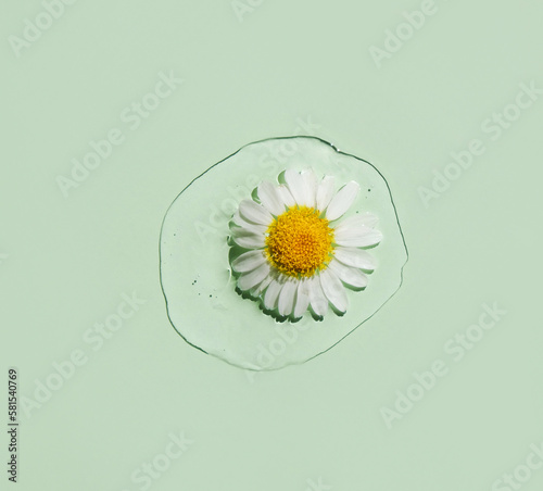 A drop of transparent cosmetic gel and a chamomile flower on a green background. The concept of natural cosmetics.