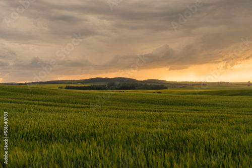 Landscape of crops blowing in the wind of a Storm over the Praries at dusk