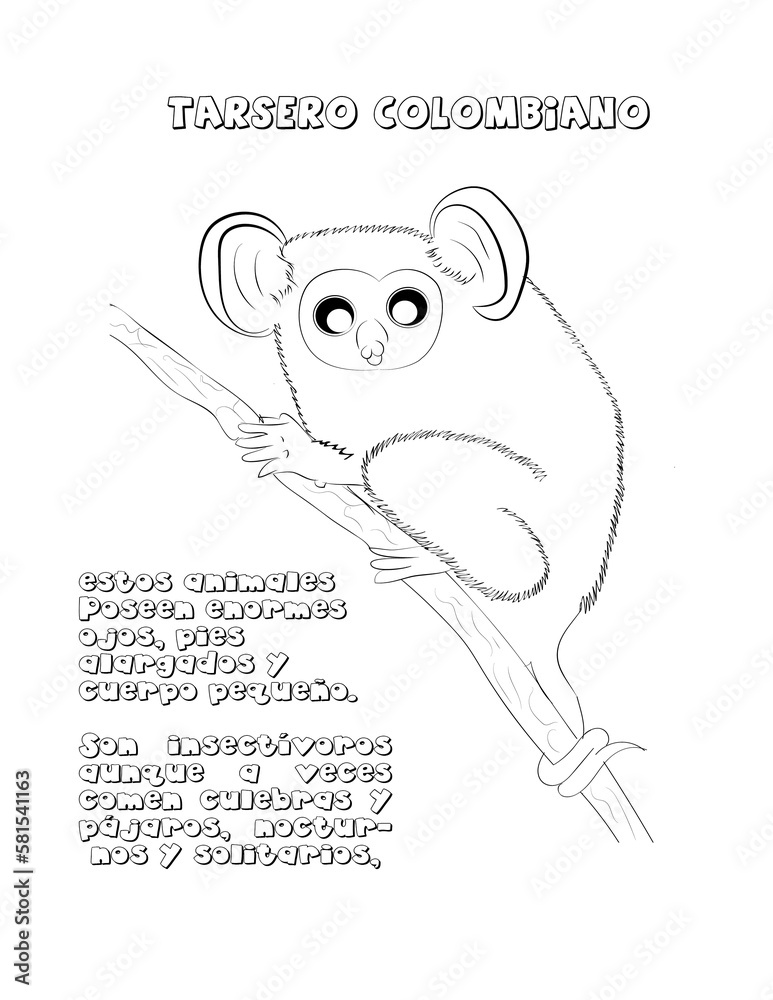 Obraz premium Tarsero colombiano mono, dibujo