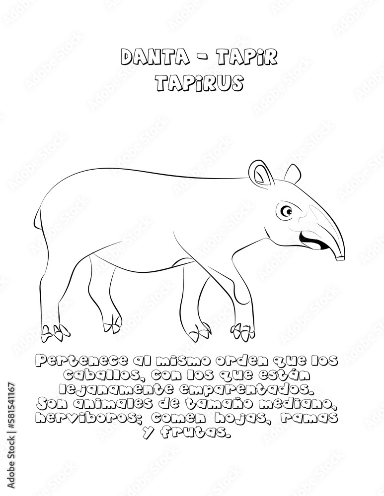 Obraz premium Danta dibujo 