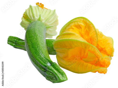 Fotografi Fleurs de courgette