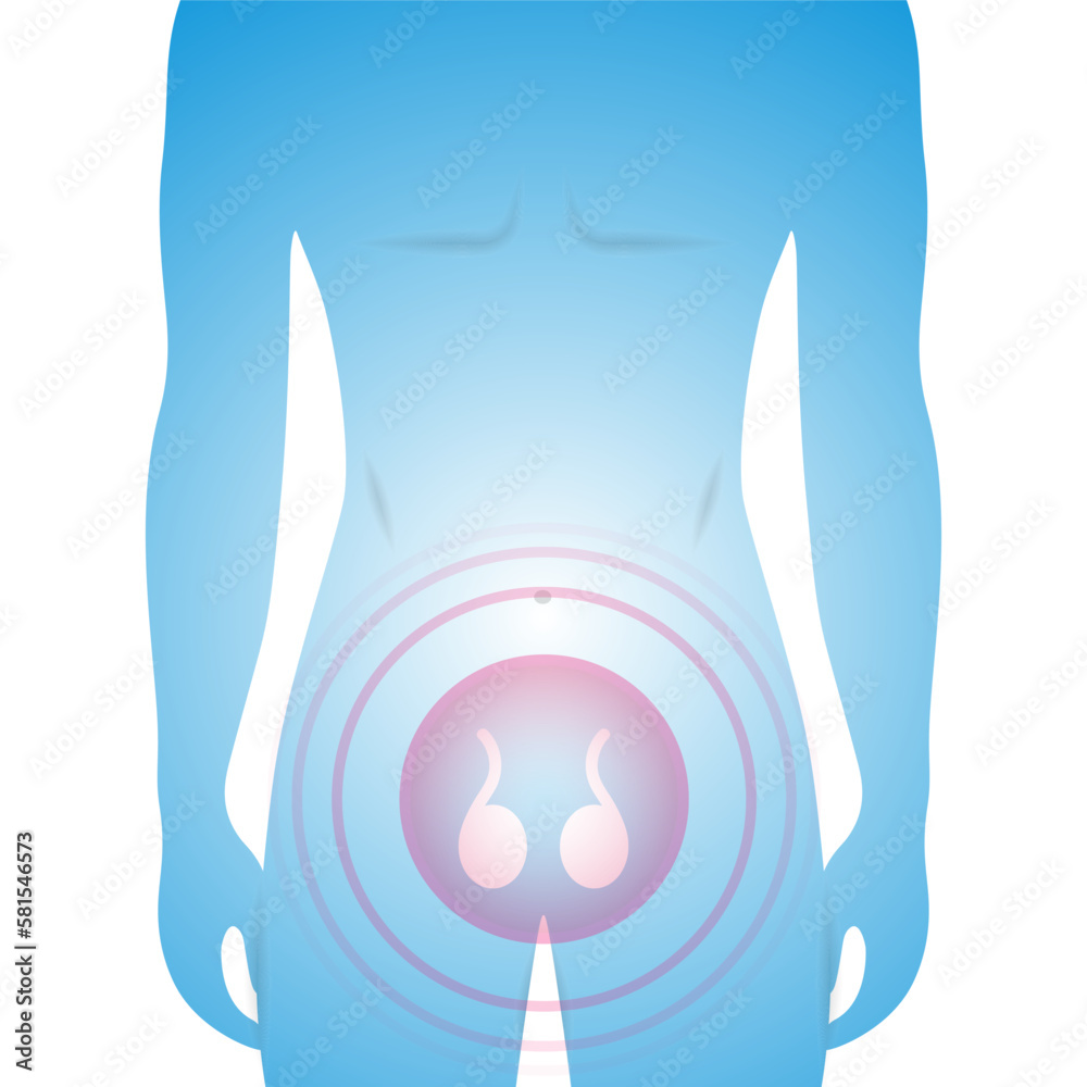 Male silhouette showing testicles, reproductive system problem, testosterone deficiency, vector medical illustration