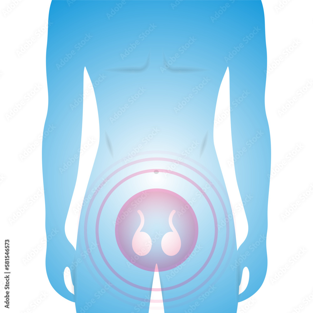 Men Testicles Problems Male silhouette showing testicles, reproductive system problem ...