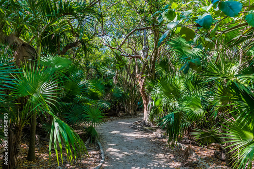 A view of the path leading to the Mayan settlement of Tulum, Mexico on a sunny day
