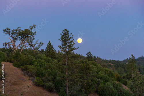 Full moon while camping at Prewitt Ridge in Big Sur. photo