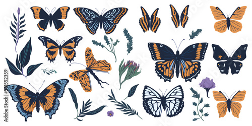 Exotic Elegance. Collection of Patterned Butterfly Vectors