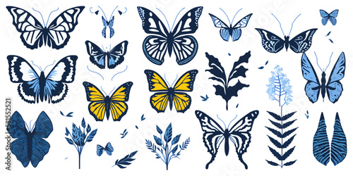 Winged Wonders. Top-View Vector Set of Beautiful Butterflies