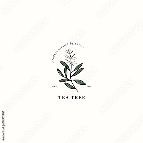 Line art tea tree drawing

