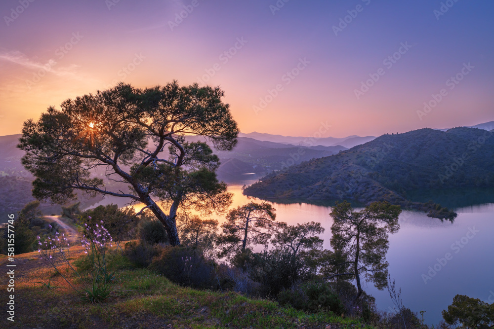 Stunning scenery. A tree by the lake at sunset with a path in the background. Stunning scenery. A tree by the lake at sunset with a path in the background.