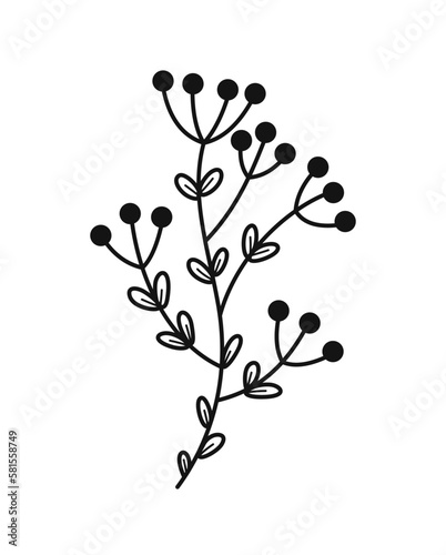 Minimalistic floral branch. Hand drawn icon with unusual field plant or grass. Elegant wild flower. Design element for wedding invitation. Cartoon flat vector illustration isolated on white background