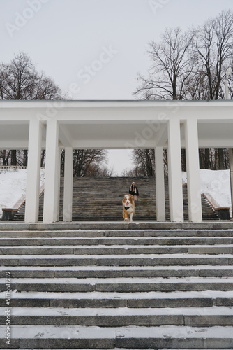A girl with an Australian shepherd Red Merle. Front view full-length portrait. A young cute brunette woman is walking down the stairs in a winter park with her dog and enjoying a walk.