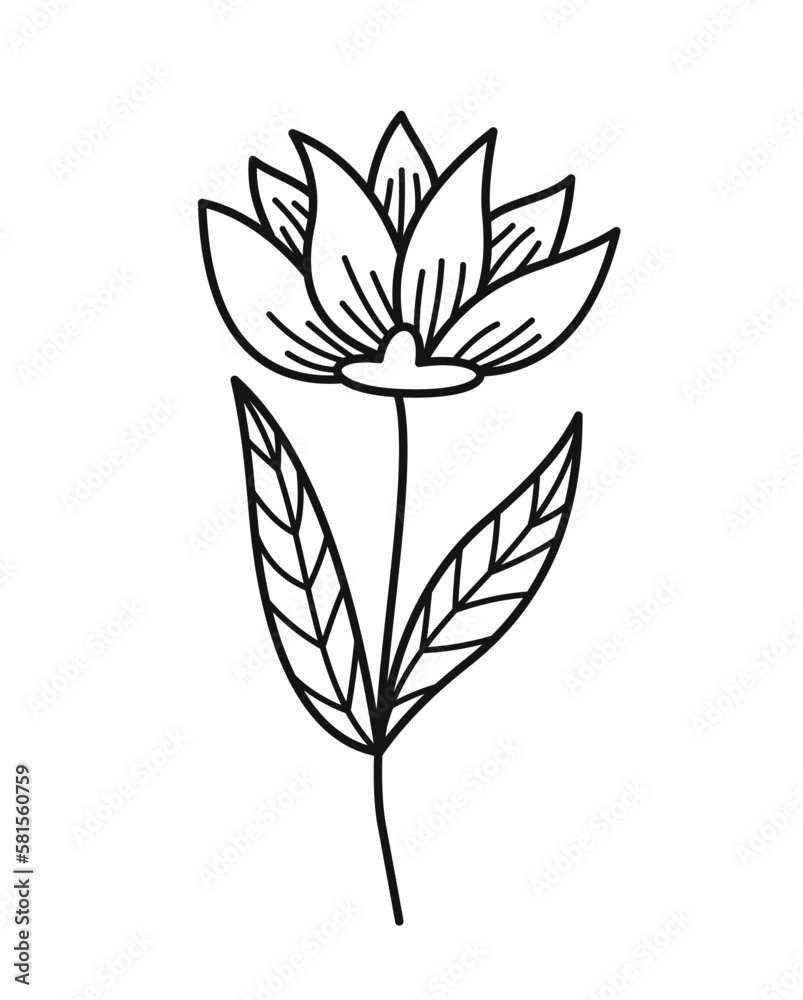 Minimalistic floral branch. Hand drawn sticker with beautiful elegant lily. Gardening and floristry. Organic Design element for logo. Cartoon flat vector illustration isolated on white background