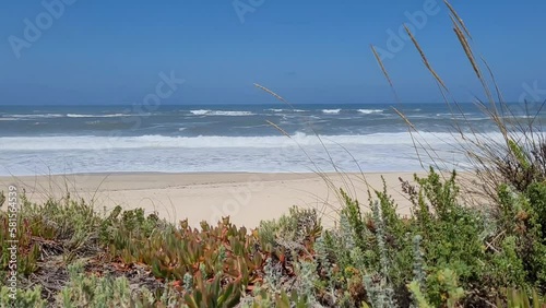 Beautiful remote beach in Portugal with big waves and dune grass in the foreground.