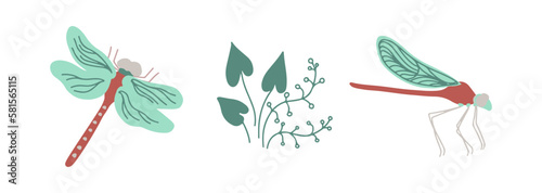 Dragonflies top view and side view with wetland plants isoalted on white background. Hand drawn vector illustration.