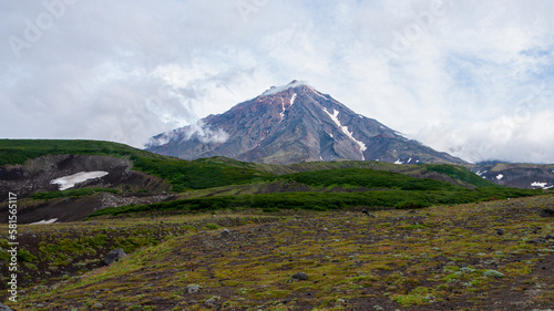 A beautiful view of Koryaksky Volcano, in clouds and green moss. 