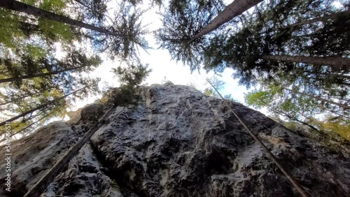 Low angle shot of a big climbing rock in a conifer forest.