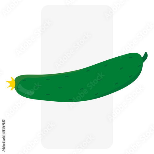 Green cucumber. Cooking background. Vector illustration.