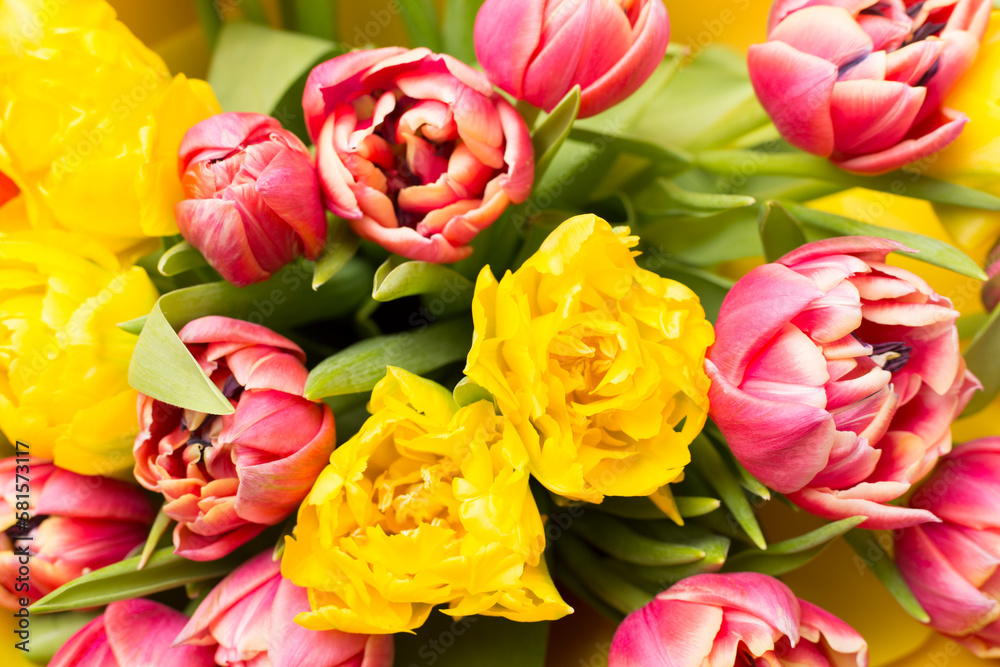 Wonderful colorful tulip bouquet, closeup view