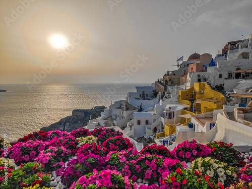 Oia village in Santorini, Greece. Picturesque view of traditional cycladic Santorini houses with large flowers garden in foreground with a sunset