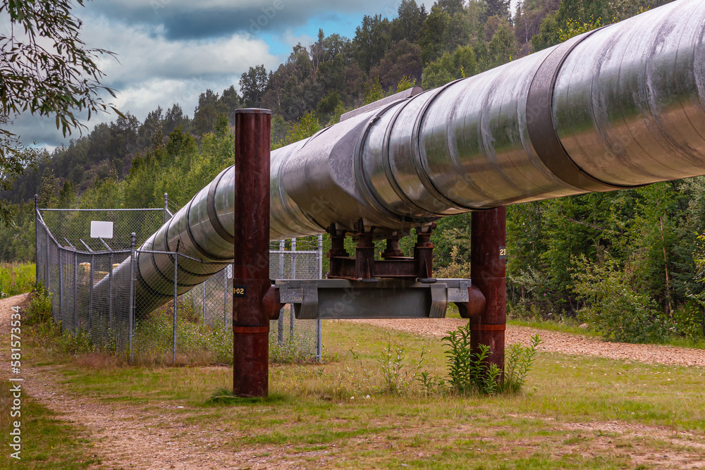 Goldstream, Alaska, USA - July 26, 2011: Alyeska Trans-Alaska pipeline viewing point. Shiny metal long pipe shown above ground along highway 2, forest in back, blue cloudscape Goldstream, Alaska, USA - July 26, 2011: Alyeska Trans-Alaska pipeline viewing point. Shiny metal long pipe shown above ground along highway 2, forest in back, blue cloudscape