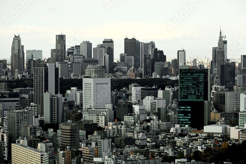 Panoramic view of Tokyo in a cloudy sky Shibuya residential area and Shinjuku skyscrapers