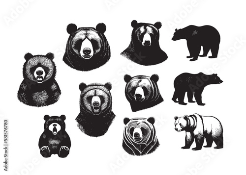 Grizzly Bear Vector Collection Set, Transparent Bear Drawings, Bear tattoo designs