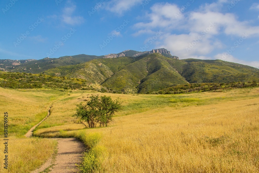Naklejka premium Pictures from the Satwiwa Trail in Thousands Oaks, outside of Los Angeles California