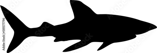 Silhouette eines Hais