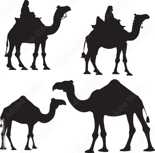 Camel set Vector illustration, SVG