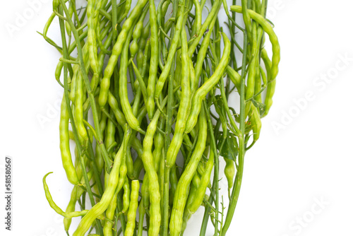 Rat-tailed radish. Fresh organic vegetables