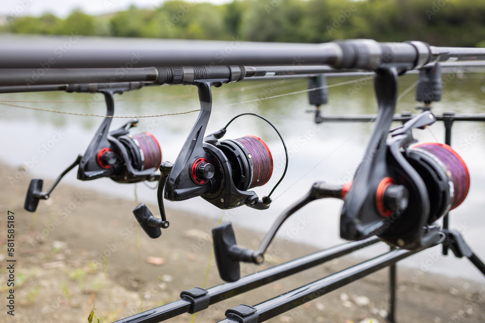 Three rods with reels on stand ready for carp fishing in a beautiful lake. Spools of coiled purple line close up. Three rods with reels on stand ready for carp fishing in a beautiful lake. Spools of coiled purple line close up.