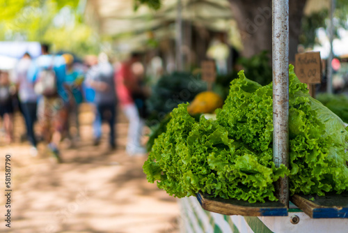 feira de orgânicos