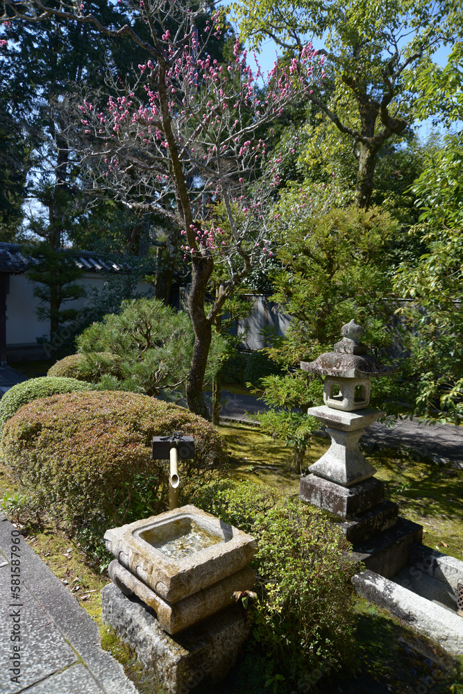 南禅寺　聴松院の灯篭と手水鉢　京都市左京区