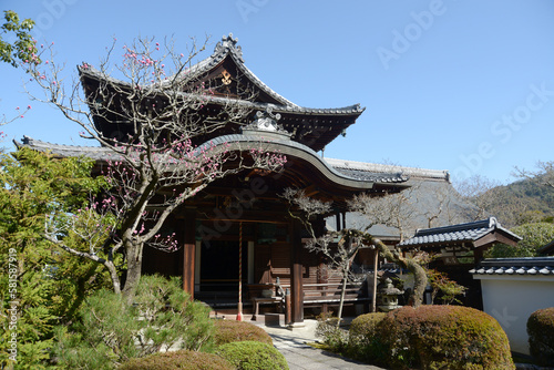 南禅寺　聴松院の梅と本堂　京都市左京区