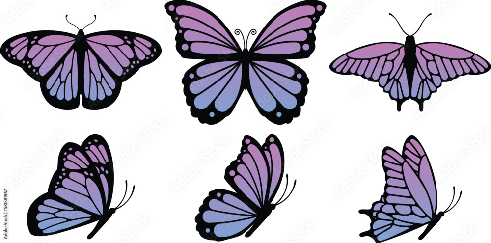 Butterfly set with blue and pink gradient wings vector illustration. Butterflies with folded and open wings. Butterfly set with blue and pink gradient wings vector illustration. Butterflies with folded and open wings.