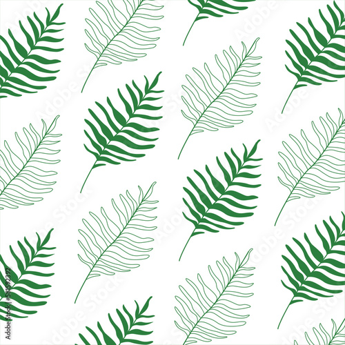 Green pattern with palm dypsis leaves on white background. Seamless summer palm hand drawn design. Great for label, print, packaging, fabric. Vector EPS10