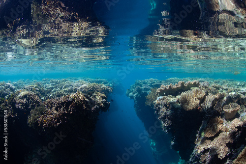 A shallow crevice has eroded in a shallow coral reef in Raja Ampat, Indonesia. This tropical region is known as the heart of the Coral Triangle due to its high marine biodiversity.