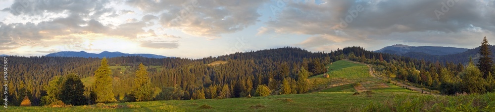 Summer panorama view on mountainous green pasture meadow, Slavske village, Carpathians, Ukraine.