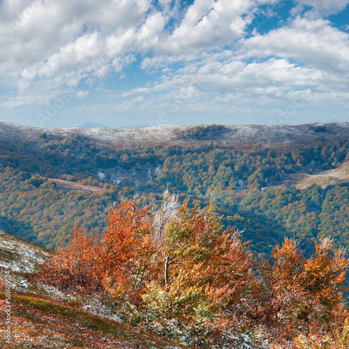 First winter snow and autumn colourful foliage on mountain