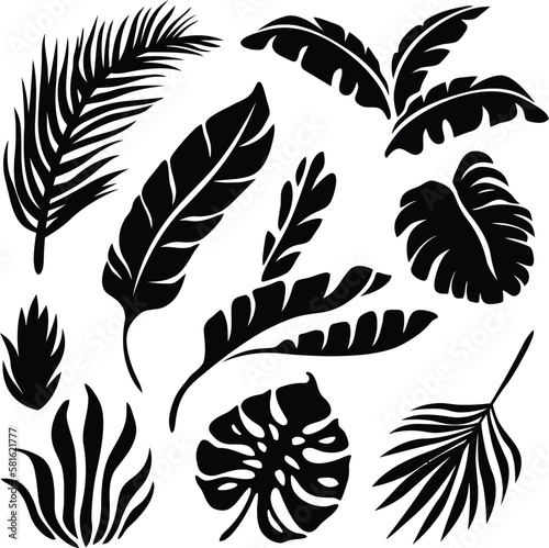 Tropical leaves vector illustration set of realistic tropical leaf silhouettes black color shapes Eps