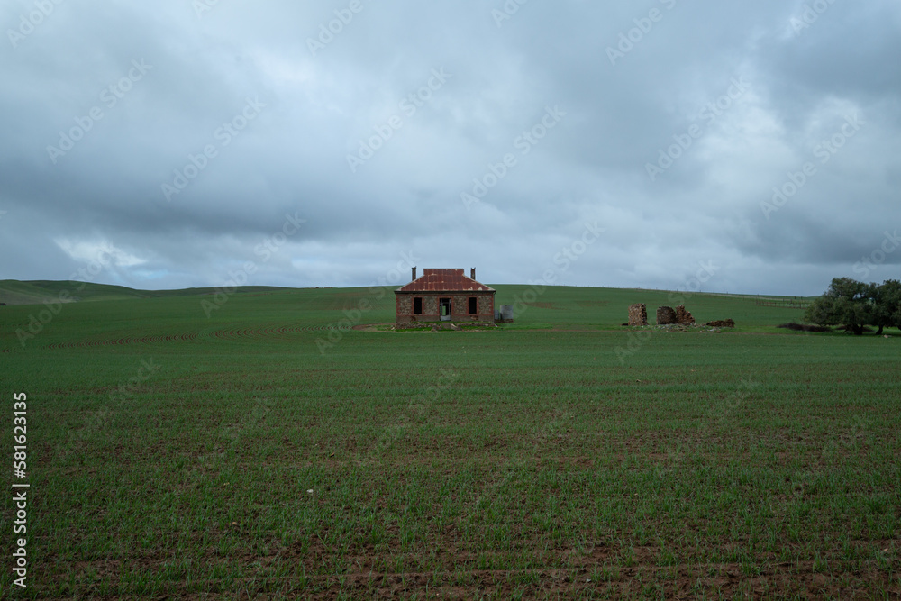 Fototapeta premium landscape with a house